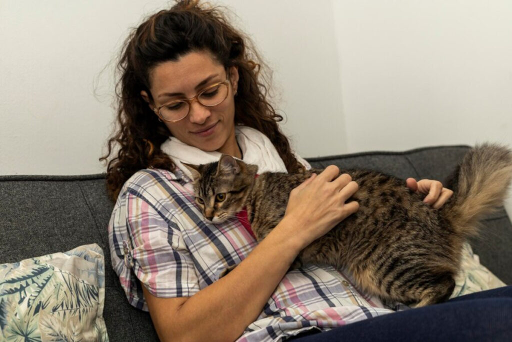 chat touche