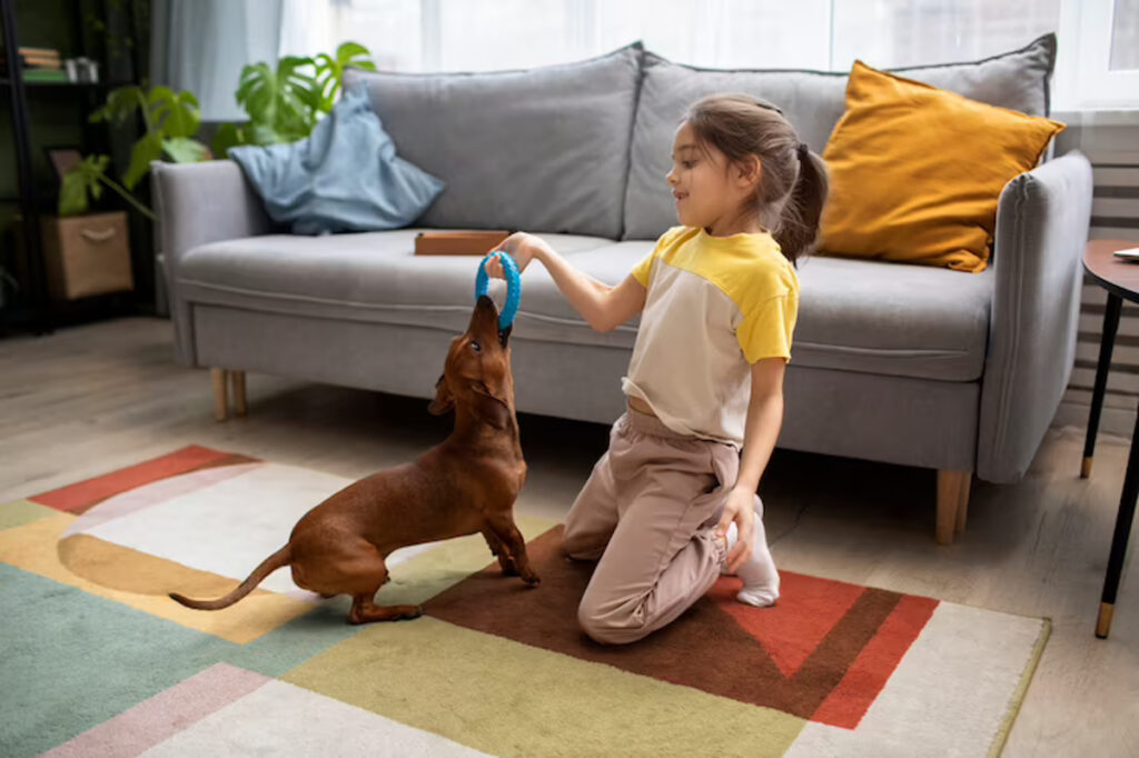 lien enfant animaux