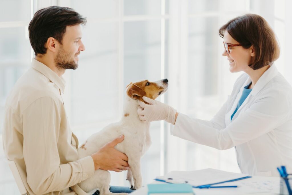 Test ADN pour chien : combien ça coûte ?