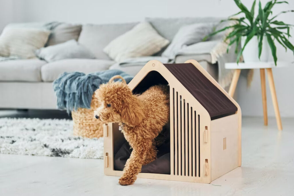 Pourquoi opter pour une niche d'intérieur pour chien ?