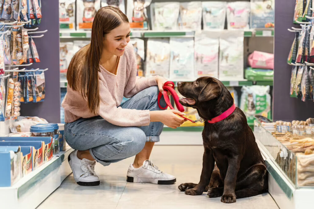 accessoire animaux