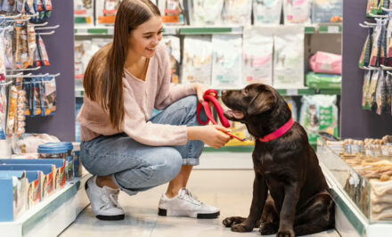 accessoire animaux