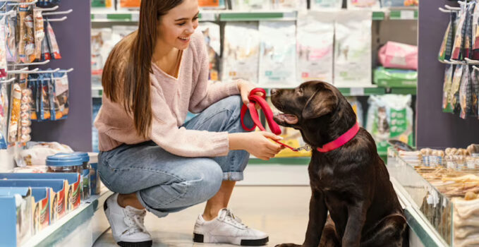 accessoire animaux