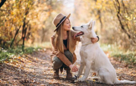 léchage chien