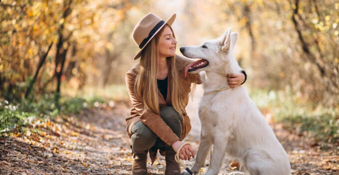 léchage chien