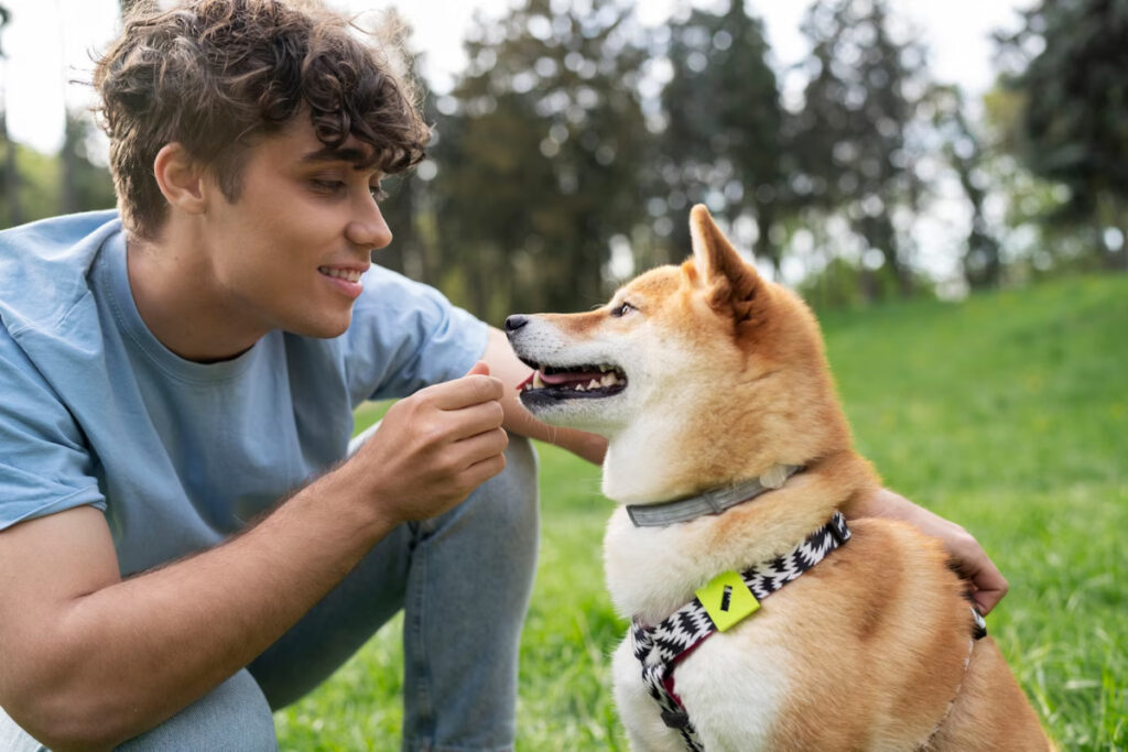 nexgard chien