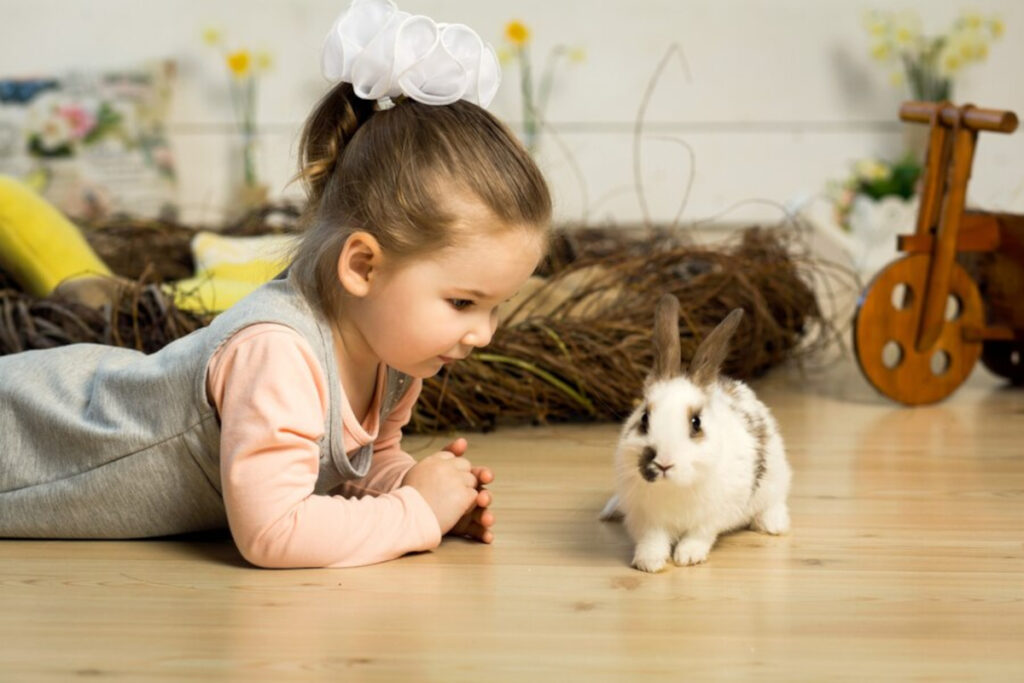 Initier enfant animaux