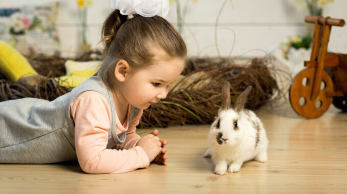 Initier enfant animaux