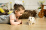 Initier enfant animaux