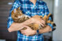différents vers chat