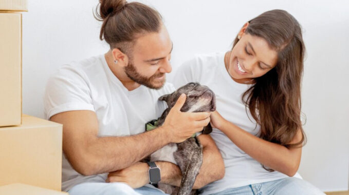 guide complet chien