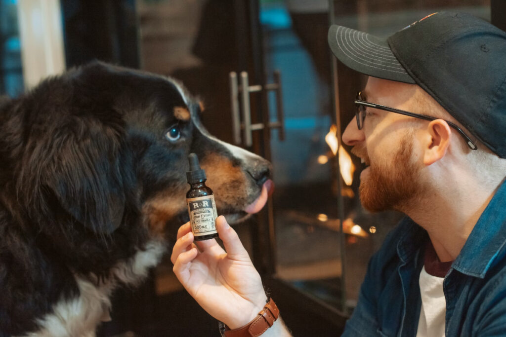cbd pour chiens