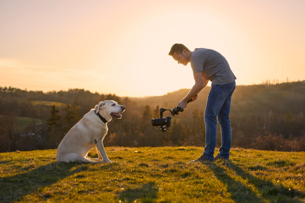 influenceur chien