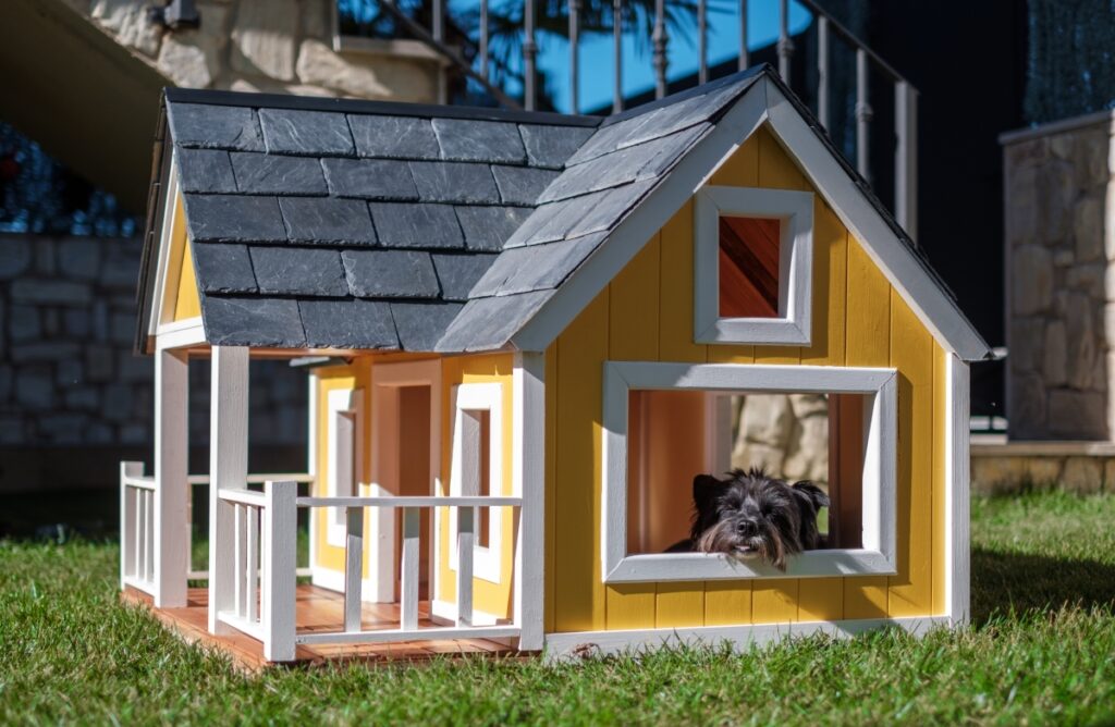 niche pour chien