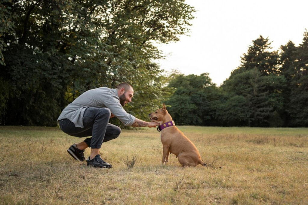 Apprentissage chien