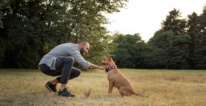 Apprentissage chien