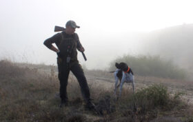 allié chien de chasse