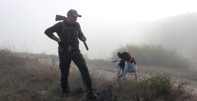 allié chien de chasse