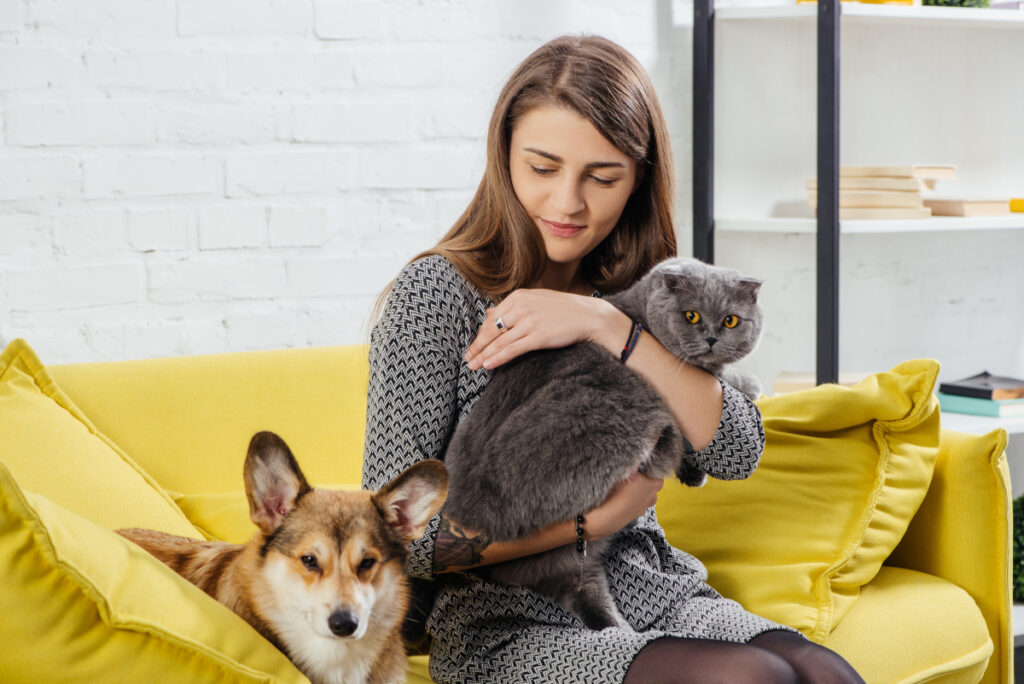 animaux de compagnie