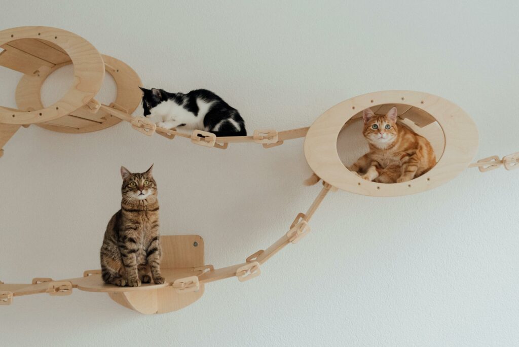 produits pour animal