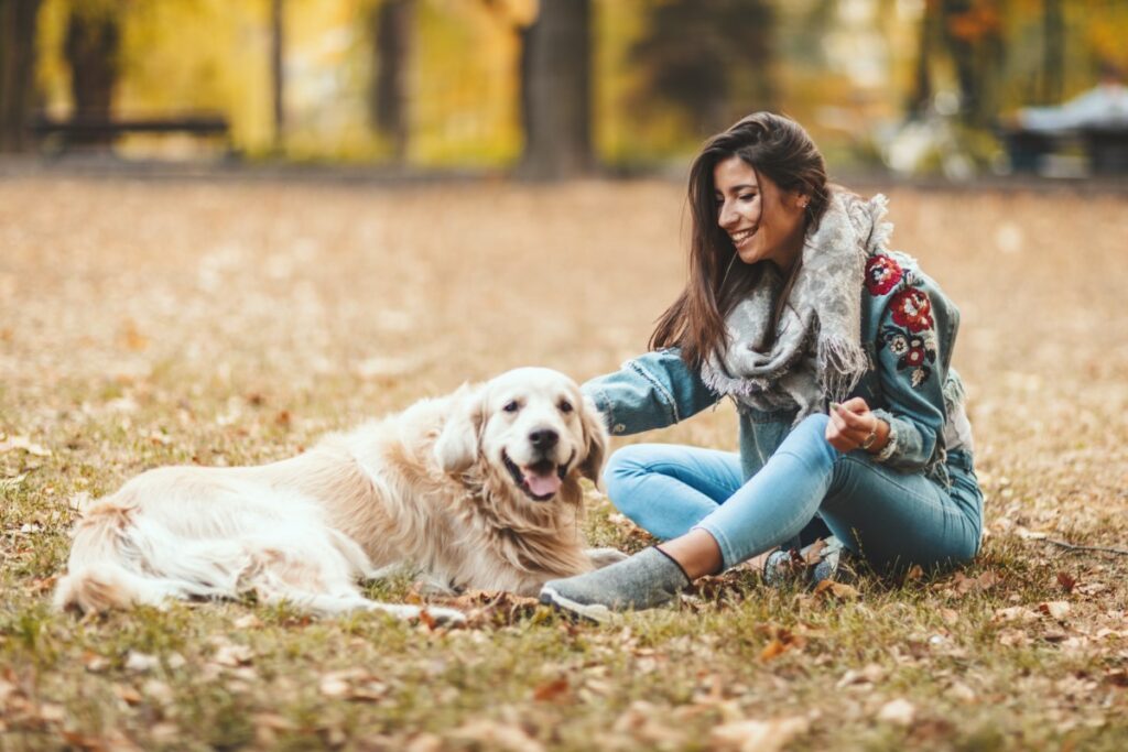 comptes Instagram pour les passionnés de canins