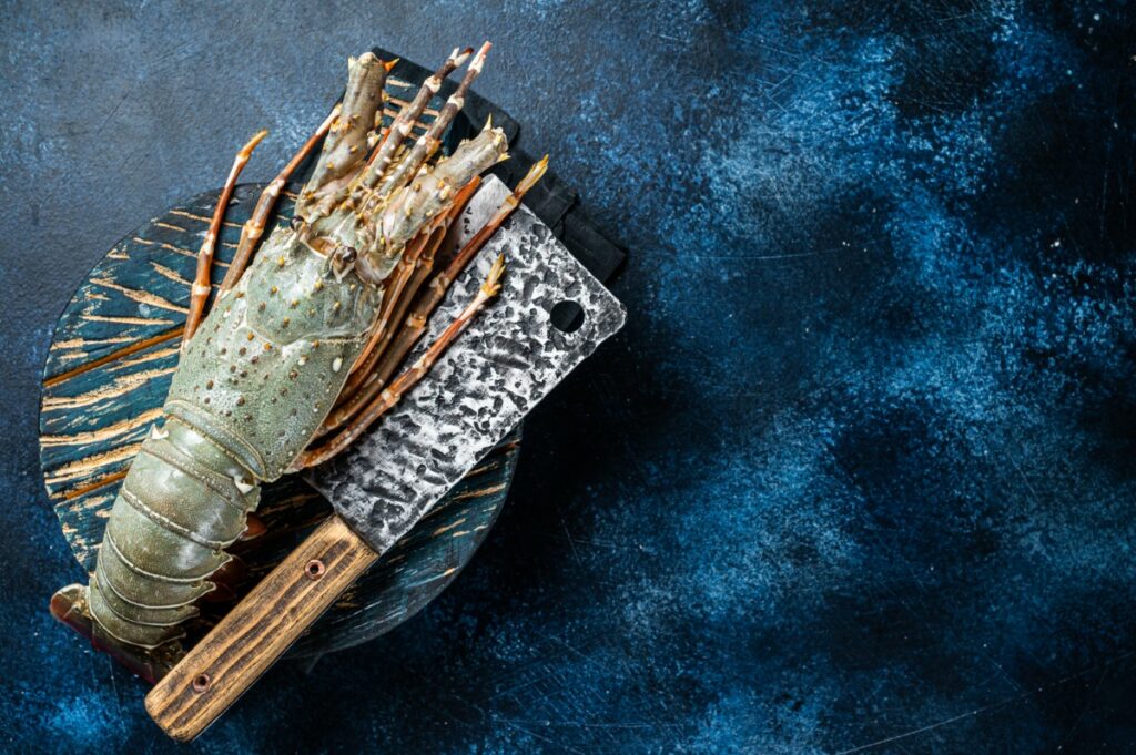 homard aux couleurs de l'arc-en-ciel