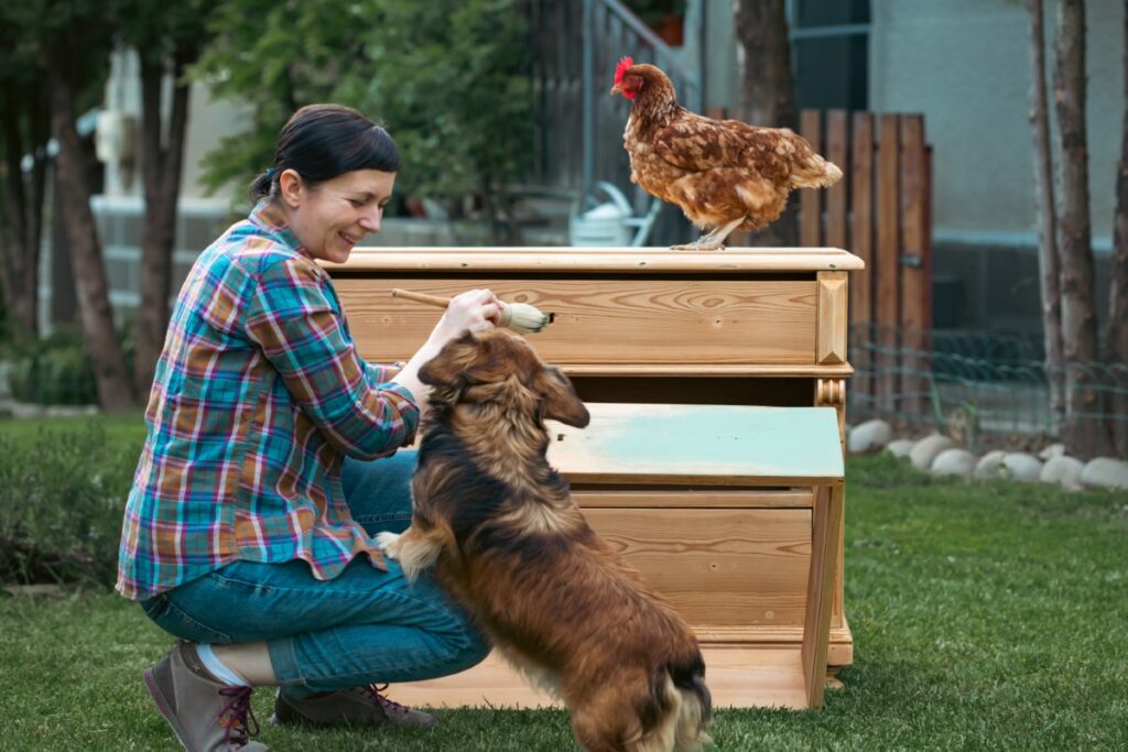 meubles en habitats pour petits animaux