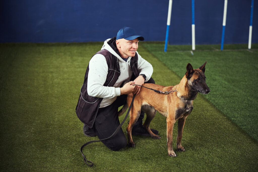 devenir éducateur canin