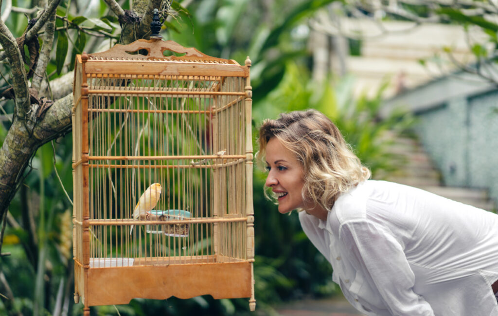 volière oiseaux