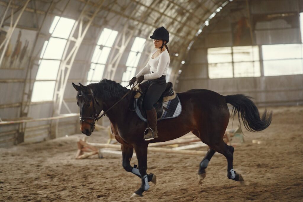 équitation moderne