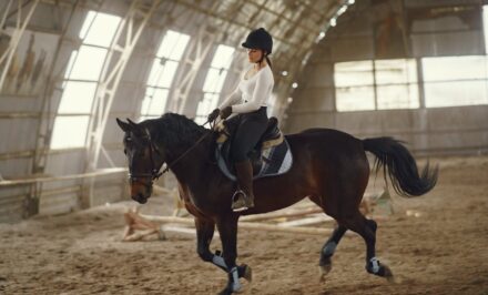équitation moderne