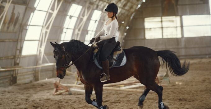 équitation moderne
