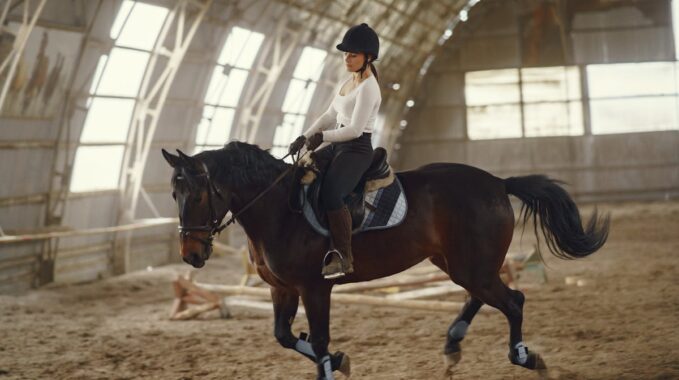 équitation moderne
