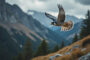 plongez dans l'univers fascinant de l'oiseau le plus rapide du monde ! explorez ses performances époustouflantes, son habileté en vol et les secrets de sa vitesse exceptionnelle. ne manquez pas cette occasion de mieux comprendre ce maître du ciel.