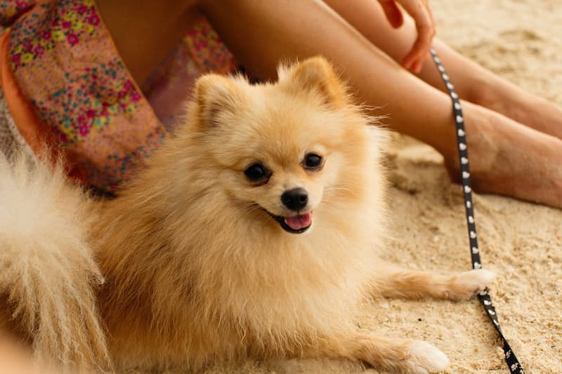 Sur la plage
