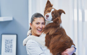 assurance pour chien