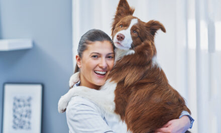 assurance pour chien