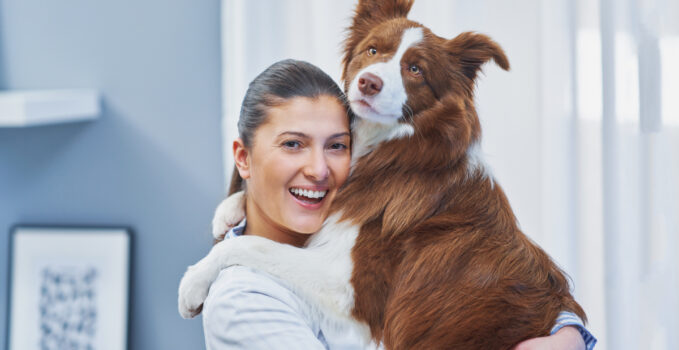 assurance pour chien