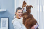 assurance pour chien