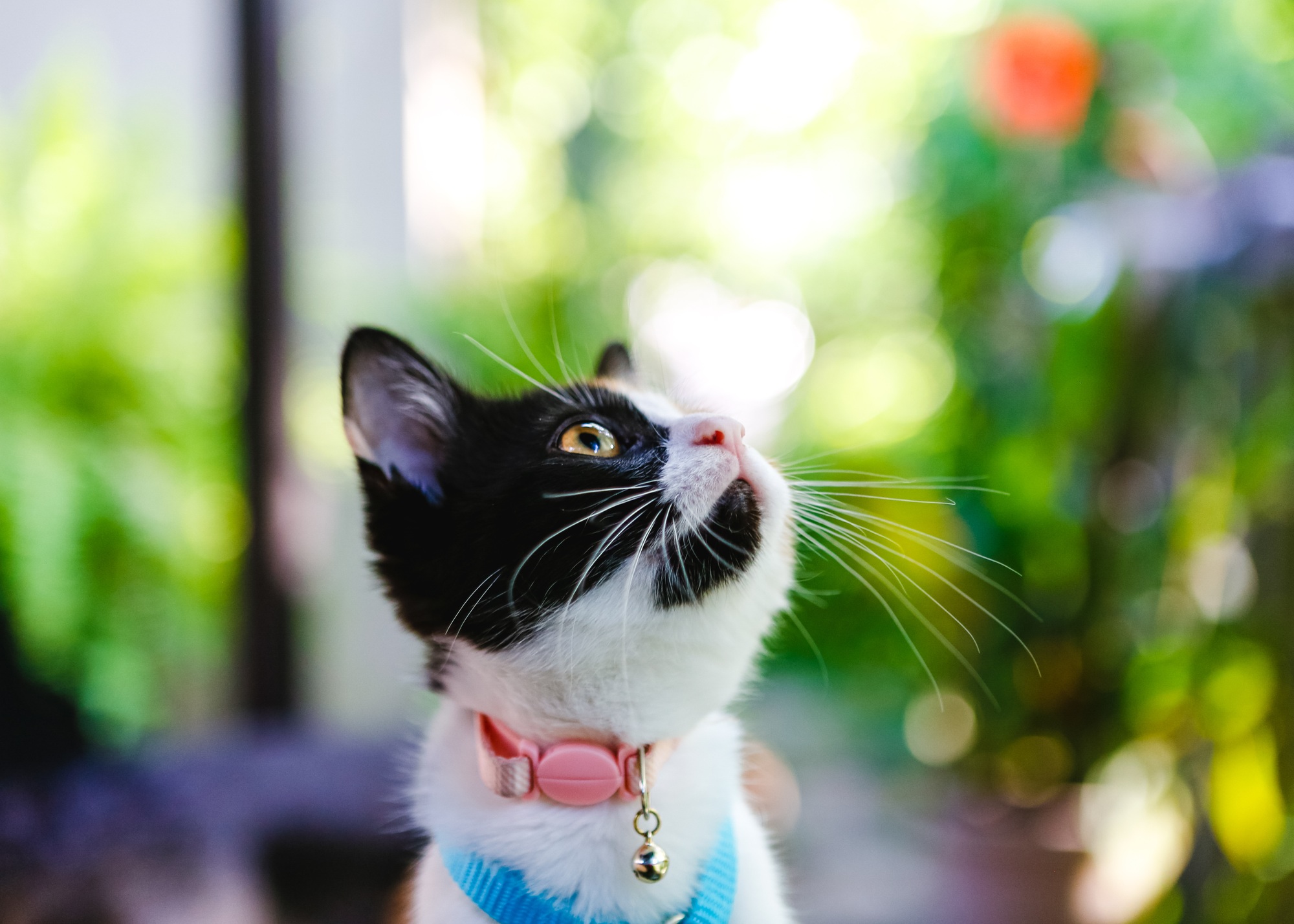 collier personnalisé