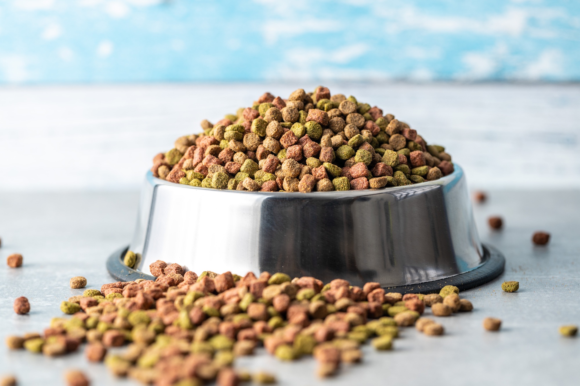 Dry kibble animal food. Dried food for cats or dogs.