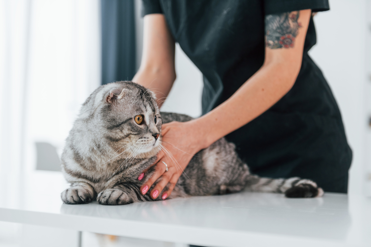 techniques de massage