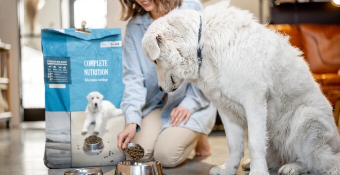 Woman feeds a dog with dry food at home