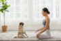 apaiser chien