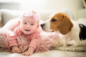 arrivée bébé