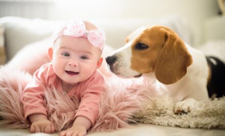 arrivée bébé