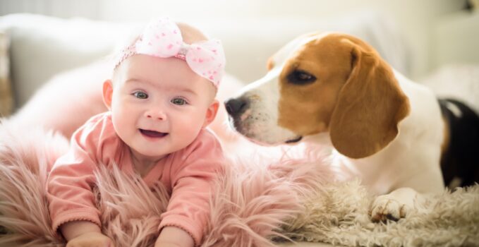arrivée bébé