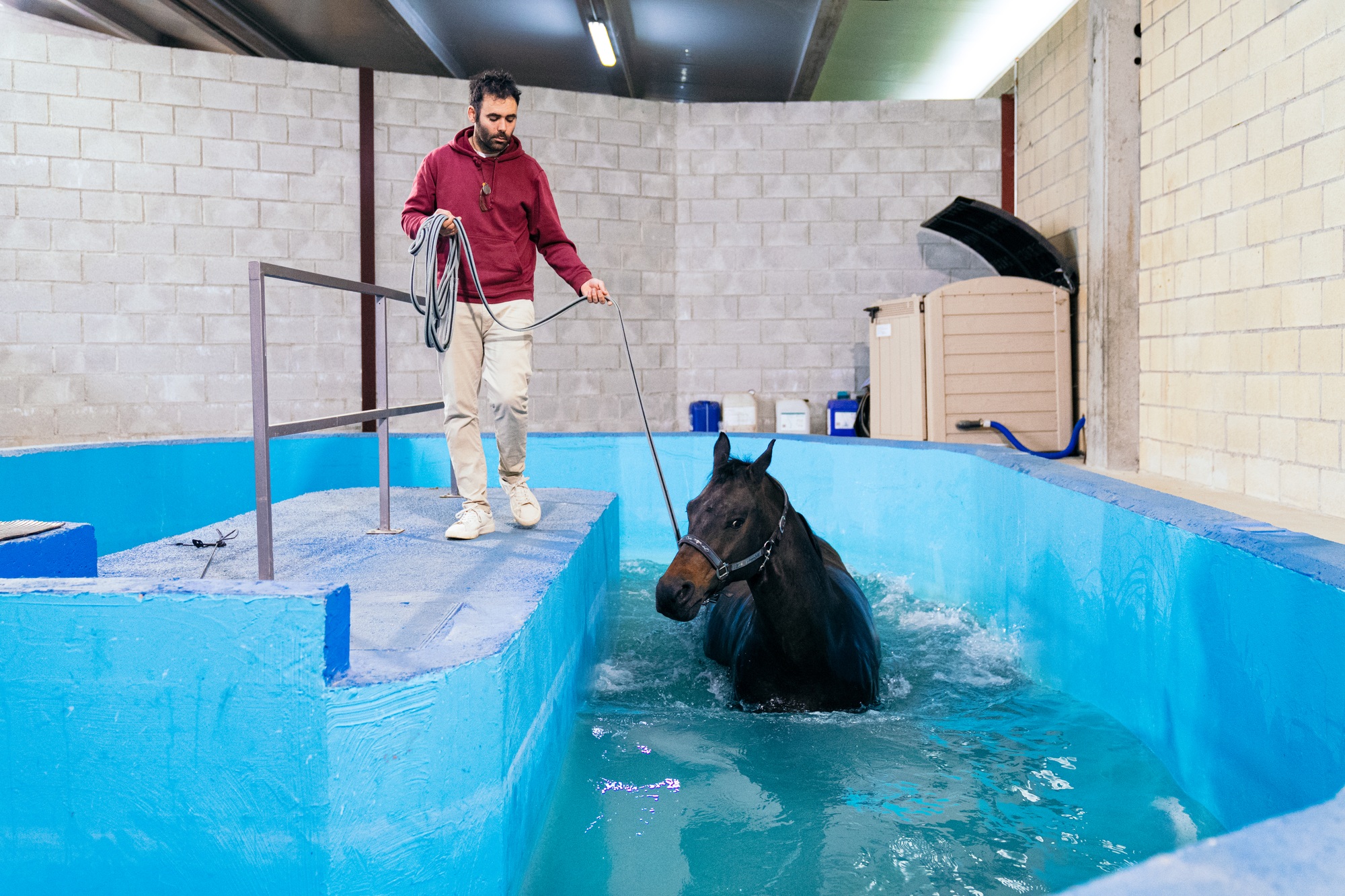 métier soigneur animalier