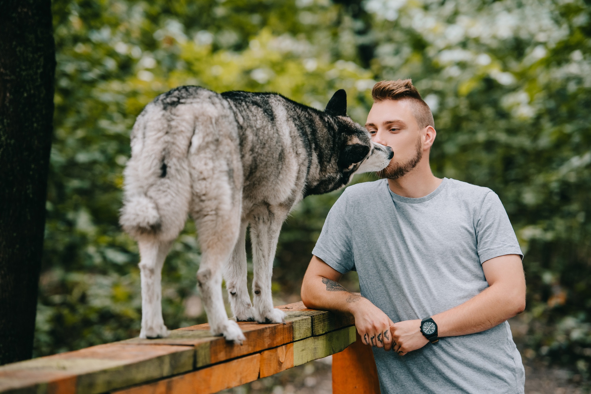 métier comportementaliste canin