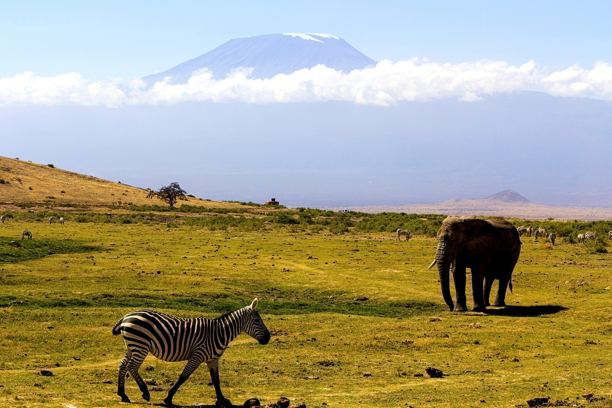Itinéraires incontournables Tanzanie
